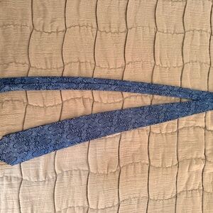 Blue Paisley Necktie